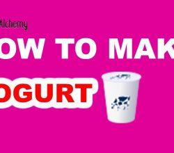 How to Make Yogurt in Little Alchemy