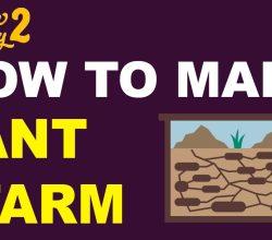 How to Make an Ant Farm in Little Alchemy 2
